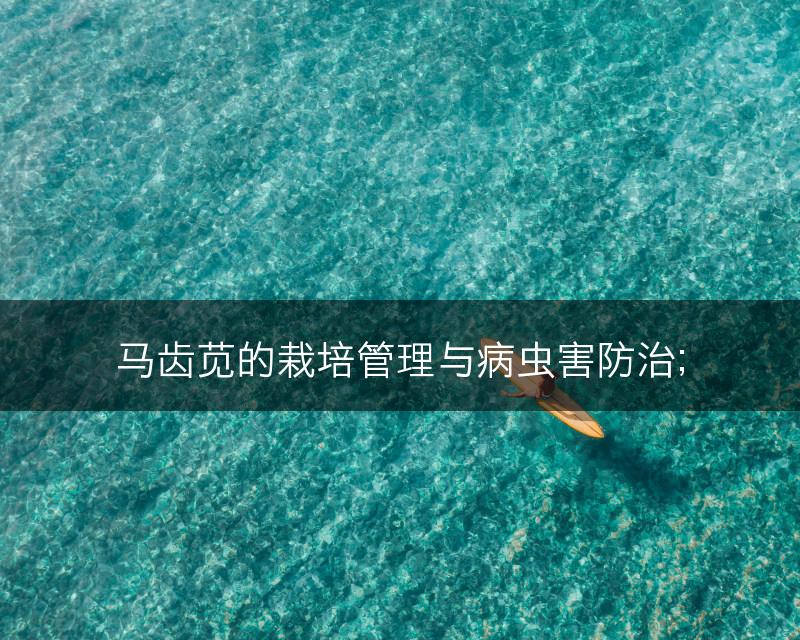 马齿苋的栽培管理与病虫害防治；(图1)