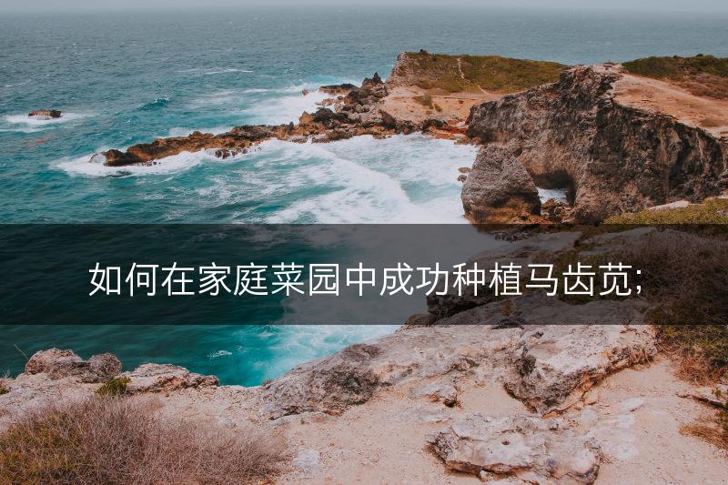 如何在家庭菜园中成功种植马齿苋；(图1)