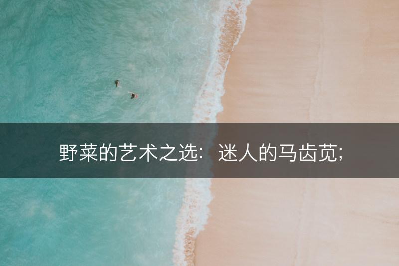 野菜的艺术之选：迷人的马齿苋；(图1)