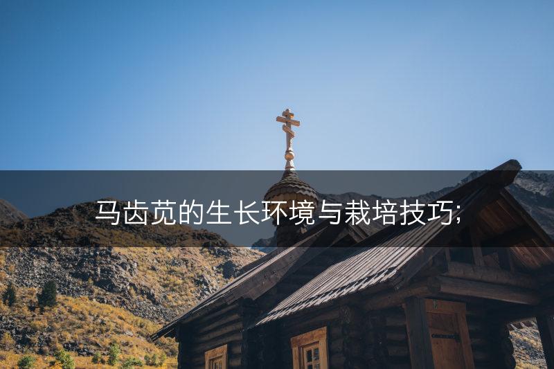 马齿苋的生长环境与栽培技巧；(图1)
