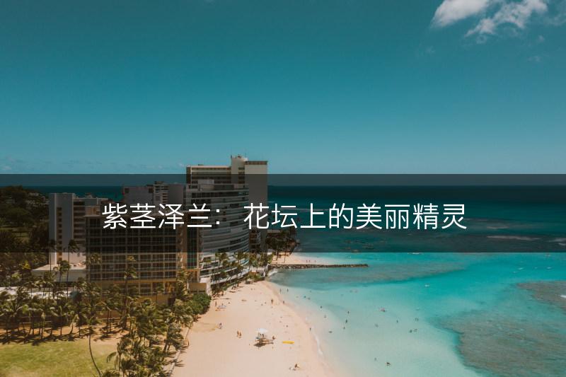 紫茎泽兰：花坛上的美丽精灵(图1)
