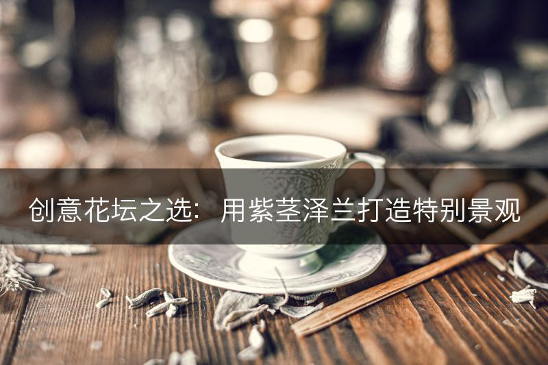 创意花坛之选：用紫茎泽兰打造特别景观(图1)