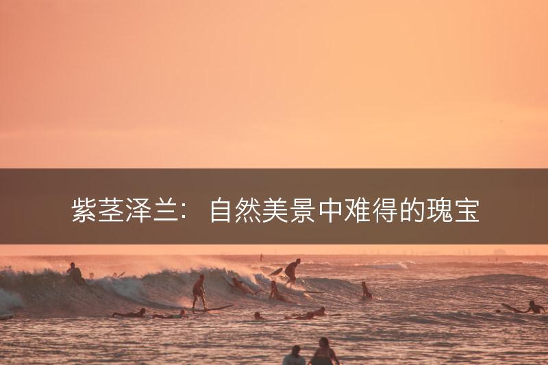 紫茎泽兰：自然美景中难得的瑰宝(图1)