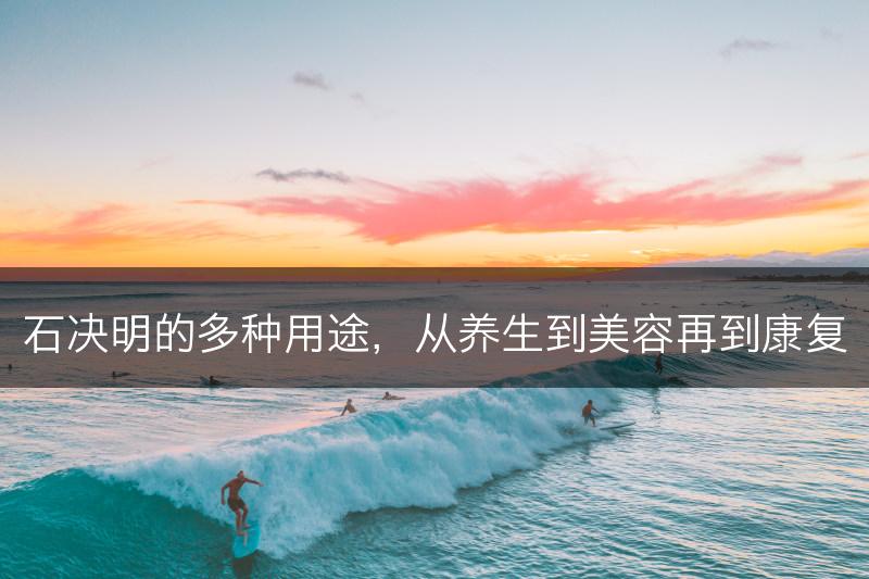 石决明的多种用途，从养生到美容再到康复(图1)