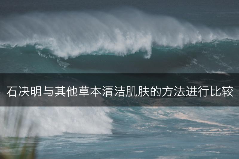 石决明与其他草本清洁肌肤的方法进行比较(图1)