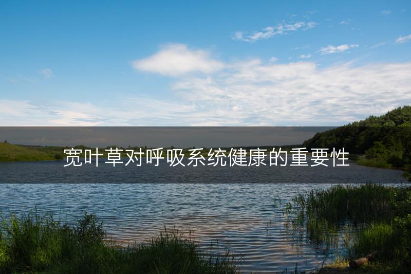 宽叶草对呼吸系统健康的重要性(图1)