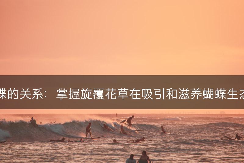 旋覆花草与蝴蝶的关系：掌握旋覆花草在吸引和滋养蝴蝶生态系统中的作用(图1)