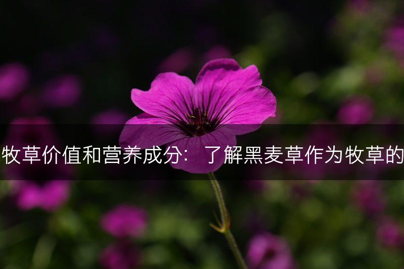 黑麦草的牧草价值和营养成分：了解黑麦草作为牧草的营养价值(图1)