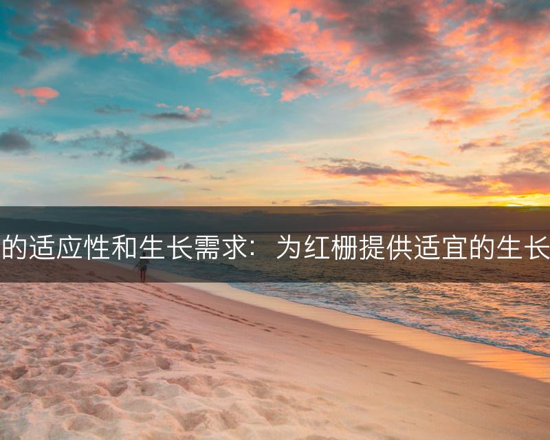 红栅的适应性和生长需求：为红栅提供适宜的生长环境(图1)