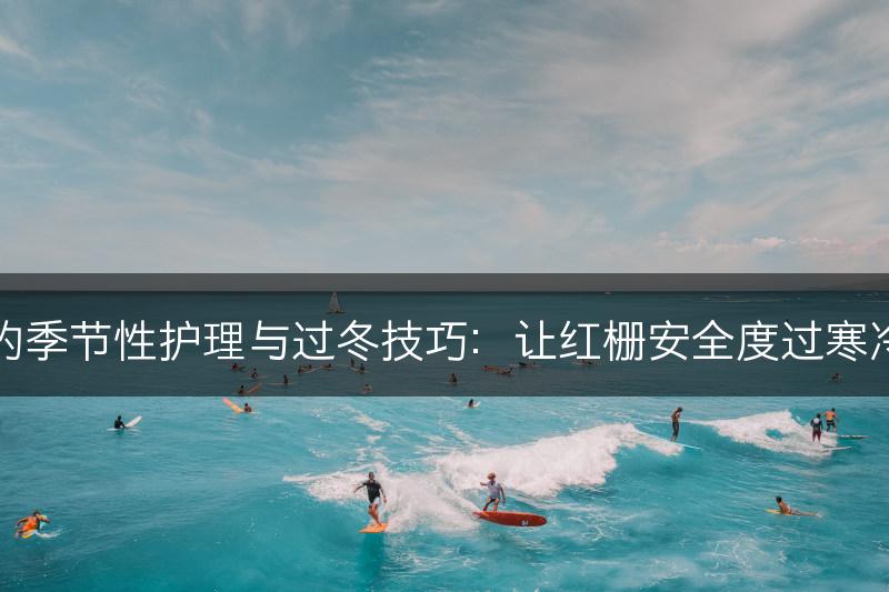 红栅的季节性护理与过冬技巧：让红栅安全度过寒冷季节(图1)