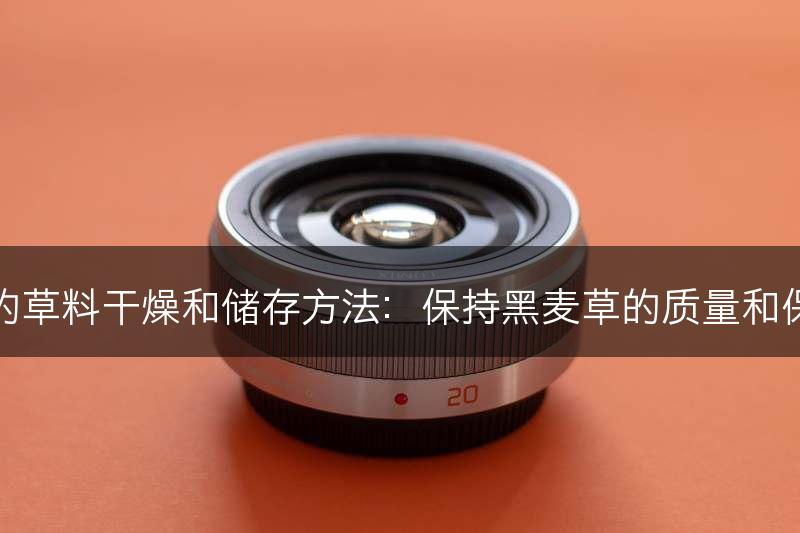 黑麦草的草料干燥和储存方法：保持黑麦草的质量和保存期限(图1)