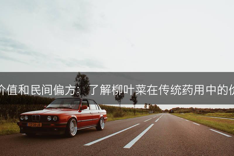 柳叶菜的药用价值和民间偏方：了解柳叶菜在传统药用中的价值和应用方法(图1)
