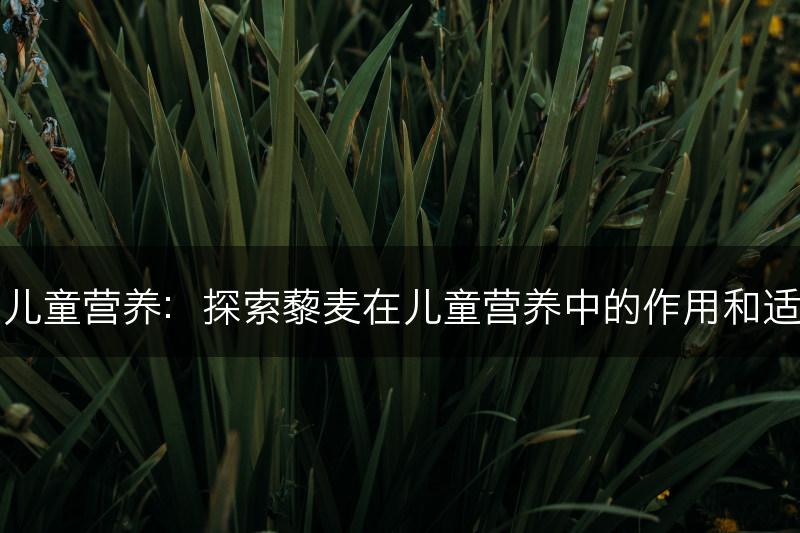 藜麦与儿童营养：探索藜麦在儿童营养中的作用和适用方法(图1)