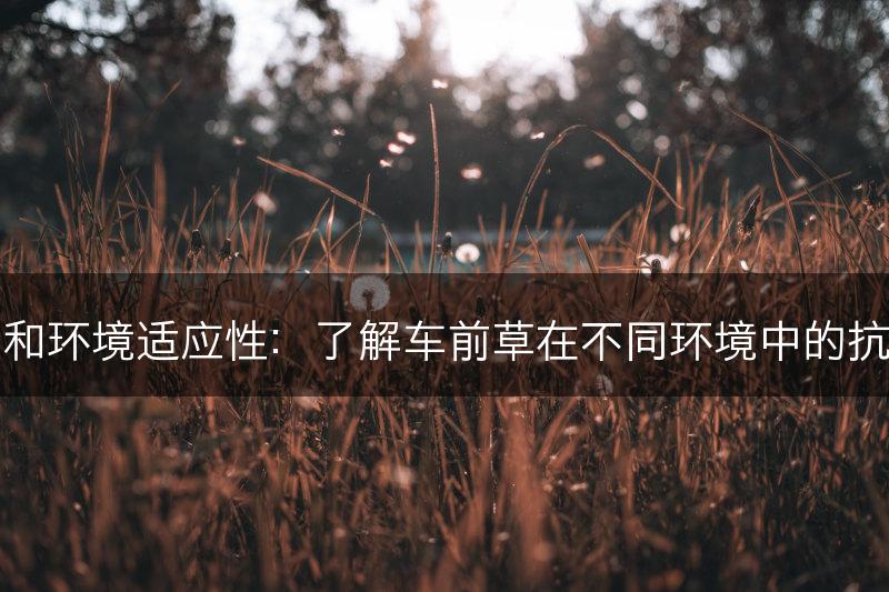 车前草的抗逆性和环境适应性：了解车前草在不同环境中的抗逆能力和适应性(图1)