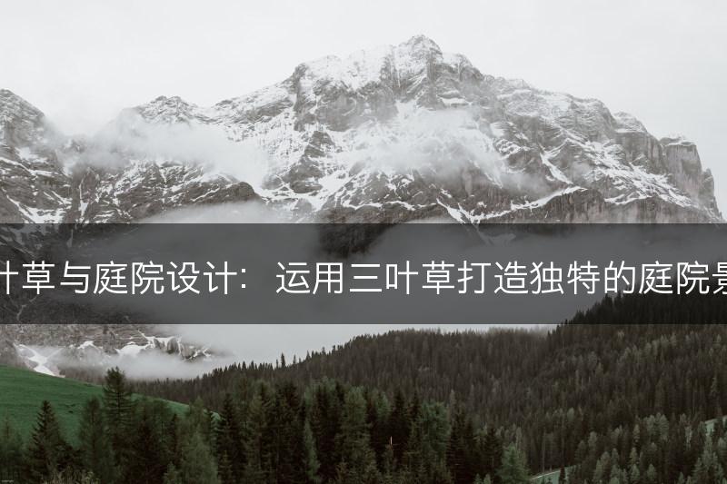 三叶草与庭院设计：运用三叶草打造独特的庭院景观(图1)