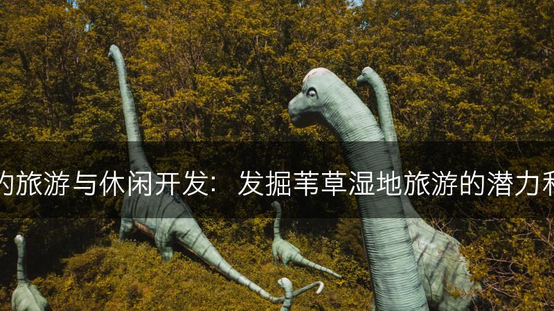 苇草湿地的旅游与休闲开发：发掘苇草湿地旅游的潜力和发展机遇(图1)