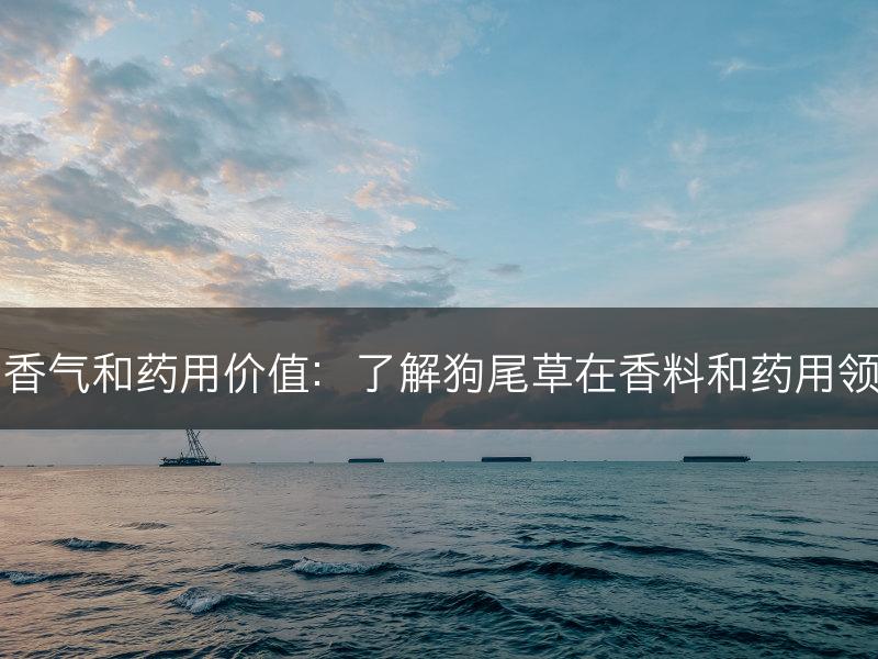 狗尾草的香气和药用价值：了解狗尾草在香料和药用领域的应用(图1)