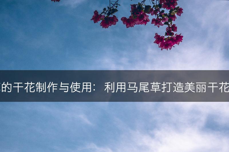 马尾草的干花制作与使用：利用马尾草打造美丽干花艺术品(图1)
