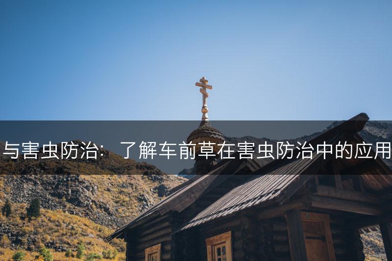 车前草与害虫防治：了解车前草在害虫防治中的应用和效果(图1)
