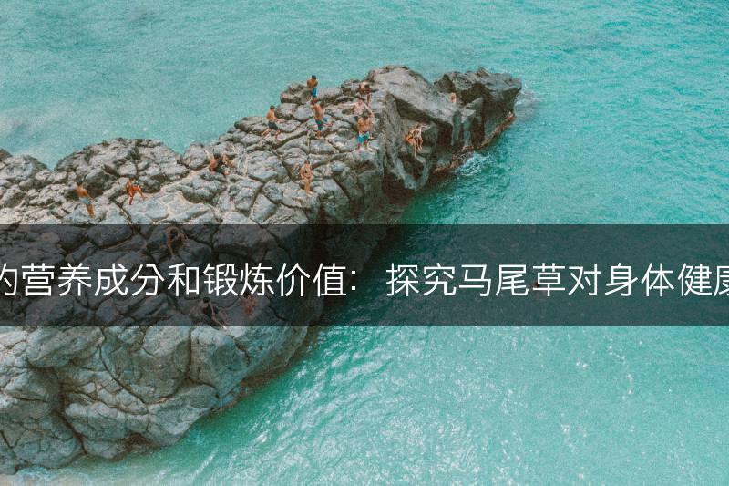 马尾草的营养成分和锻炼价值：探究马尾草对身体健康的影响(图1)