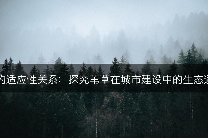 苇草与城市环境的适应性关系：探究苇草在城市建设中的生态适应性和应用潜力(图1)