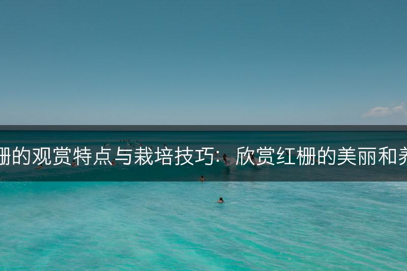 红栅的观赏特点与栽培技巧：欣赏红栅的美丽和养护(图1)