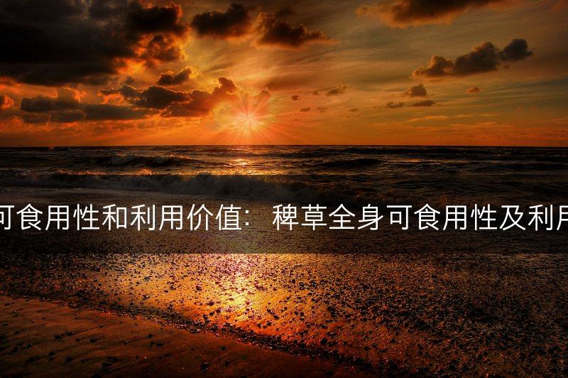 稗草的全身可食用性和利用价值：稗草全身可食用性及利用价值的介绍(图1)