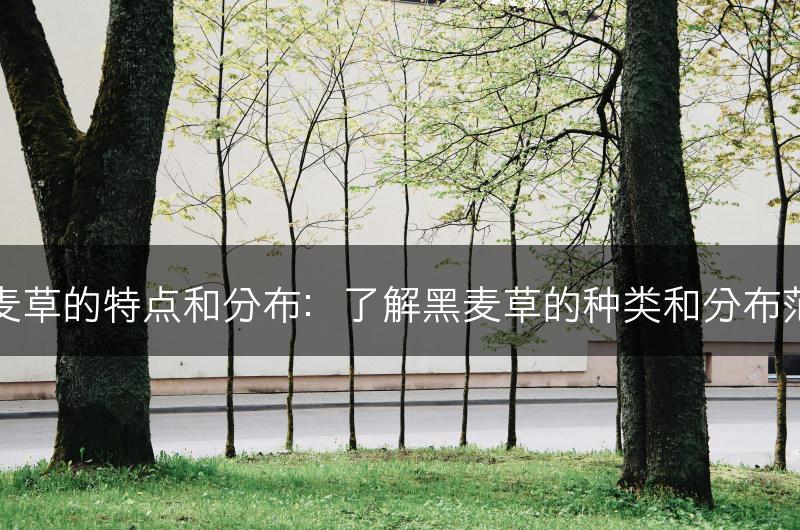 黑麦草的特点和分布：了解黑麦草的种类和分布范围(图1)
