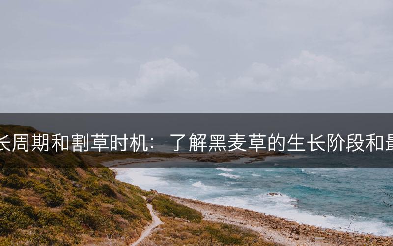 黑麦草的生长周期和割草时机：了解黑麦草的生长阶段和最佳割草时间(图1)