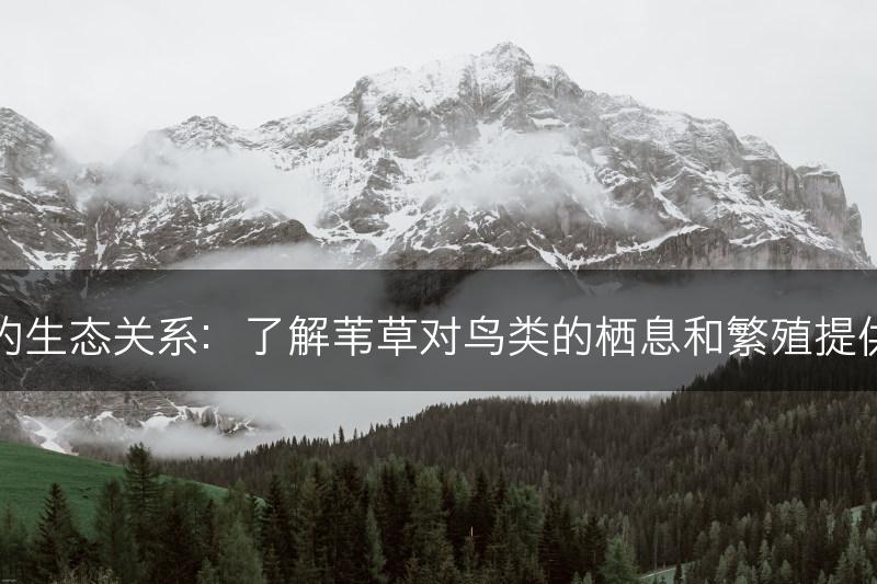 苇草与鸟类的生态关系：了解苇草对鸟类的栖息和繁殖提供的重要生境(图1)
