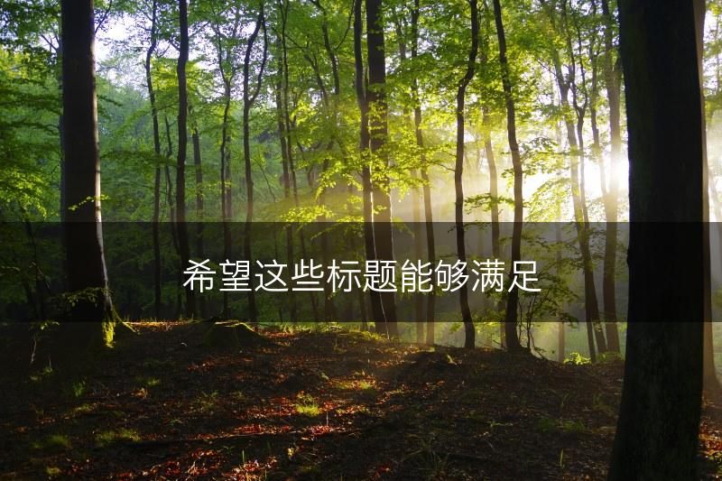 希望这些标题能够满足(图1)