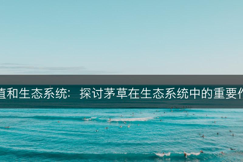茅草的生态价值和生态系统：探讨茅草在生态系统中的重要作用和生态功能(图1)