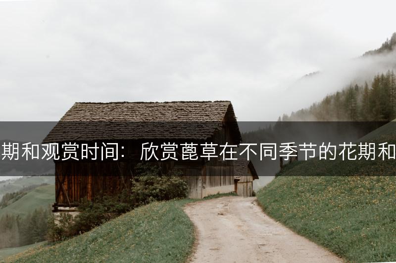蓖草的花期和观赏时间：欣赏蓖草在不同季节的花期和观赏效果(图1)