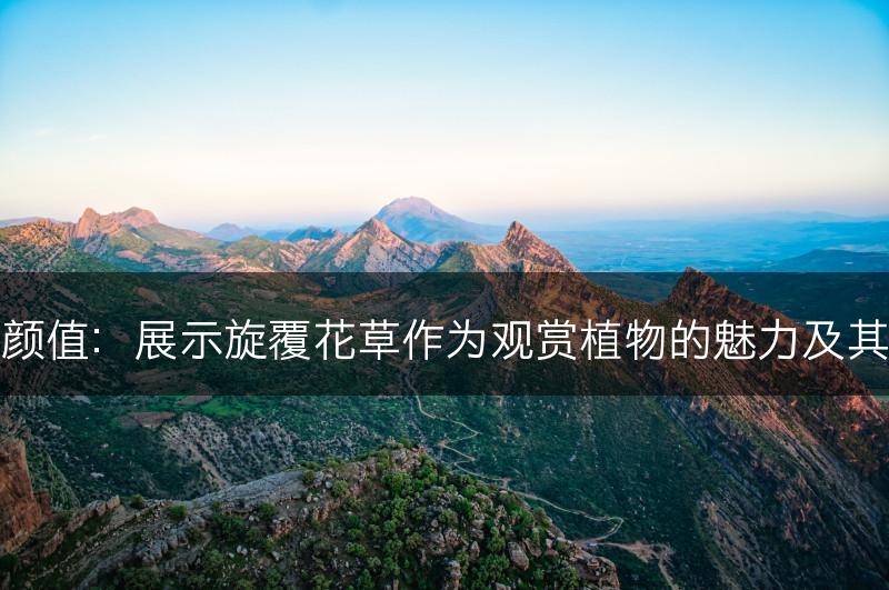 旋覆花草的魅力与颜值：展示旋覆花草作为观赏植物的魅力及其在花坛中的辨识度(图1)