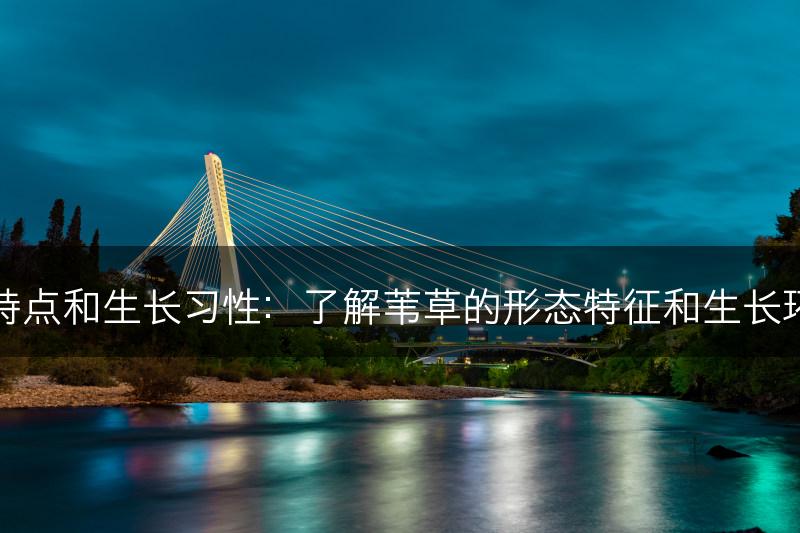 苇草的特点和生长习性：了解苇草的形态特征和生长环境需求(图1)
