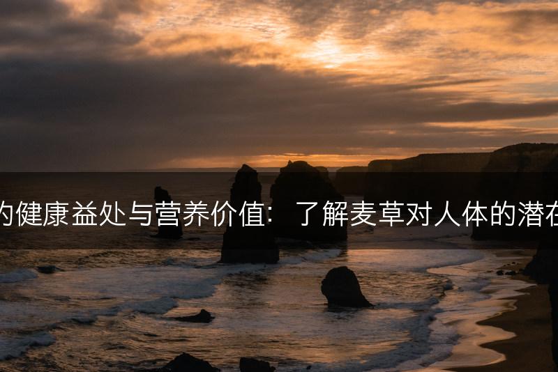 麦草的健康益处与营养价值：了解麦草对人体的潜在好处(图1)