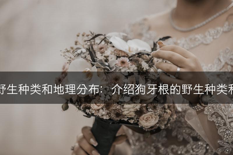狗牙根的野生种类和地理分布：介绍狗牙根的野生种类和分布地区(图1)