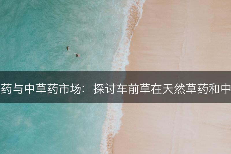 车前草的天然草药与中草药市场：探讨车前草在天然草药和中草药市场的地位(图1)