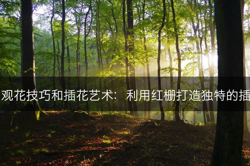 红栅的观花技巧和插花艺术：利用红栅打造独特的插花作品(图1)