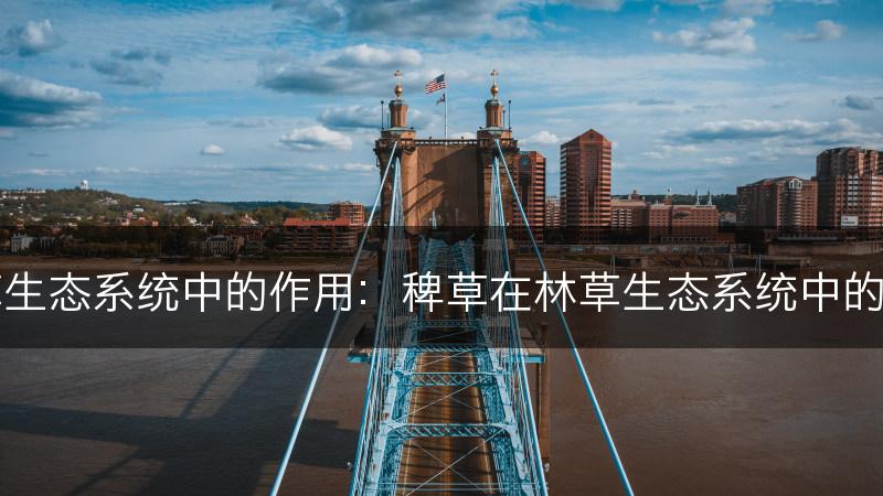 稗草在林草生态系统中的作用：稗草在林草生态系统中的种类和作用(图1)