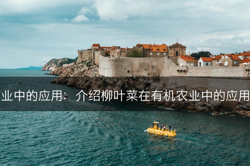 柳叶菜在有机农业中的应用：介绍柳叶菜在有机农业中的应用价值和推广案例(图1)