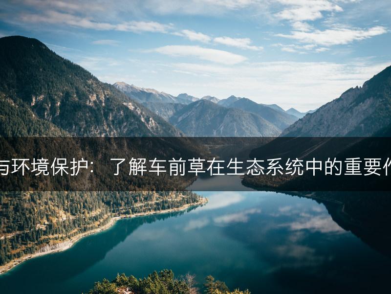 车前草的生态功能与环境保护：了解车前草在生态系统中的重要作用和环境保护意义(图1)