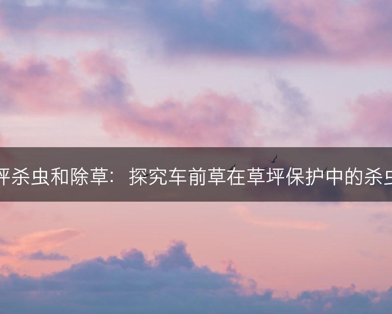 车前草的草坪杀虫和除草：探究车前草在草坪保护中的杀虫和除草效果(图1)