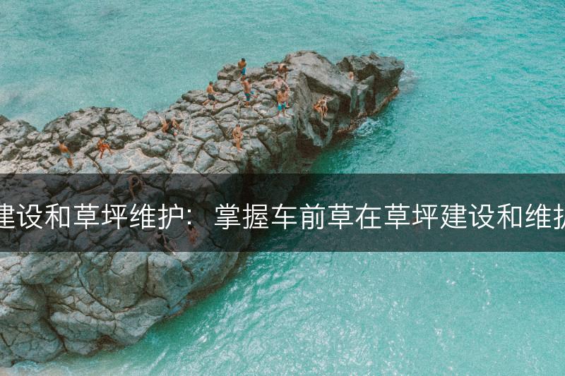 车前草的草皮建设和草坪维护：掌握车前草在草坪建设和维护中的应用技巧(图1)