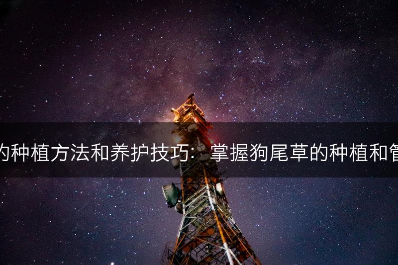 狗尾草的种植方法和养护技巧：掌握狗尾草的种植和管理要点(图1)