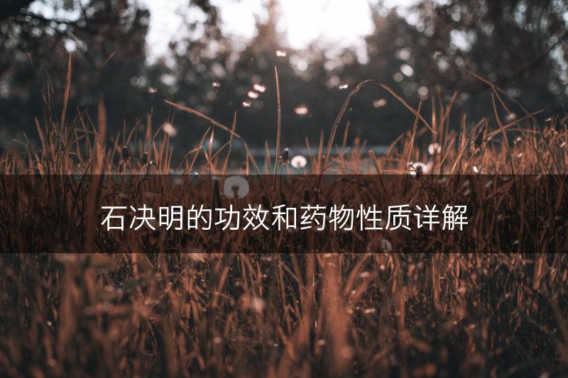 石决明的功效和药物性质详解(图1)