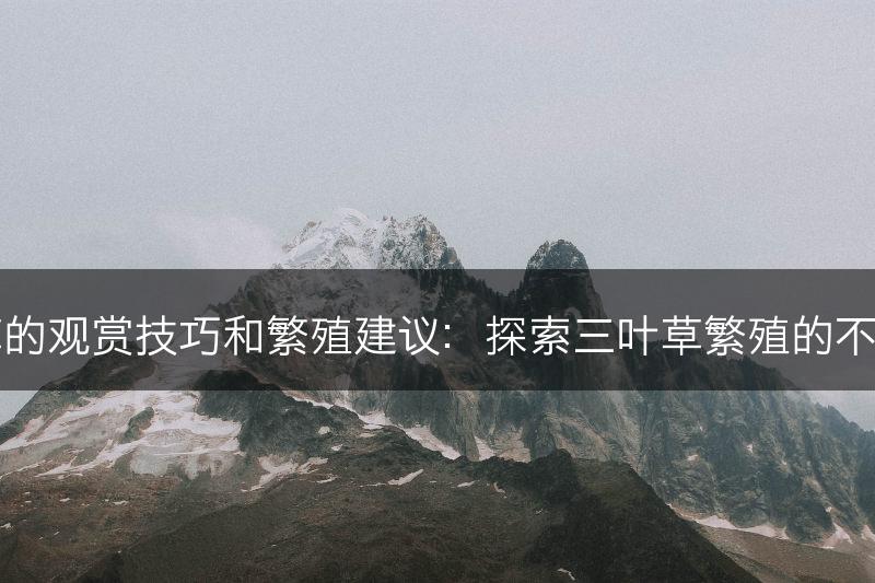 三叶草的观赏技巧和繁殖建议：探索三叶草繁殖的不同方法(图1)