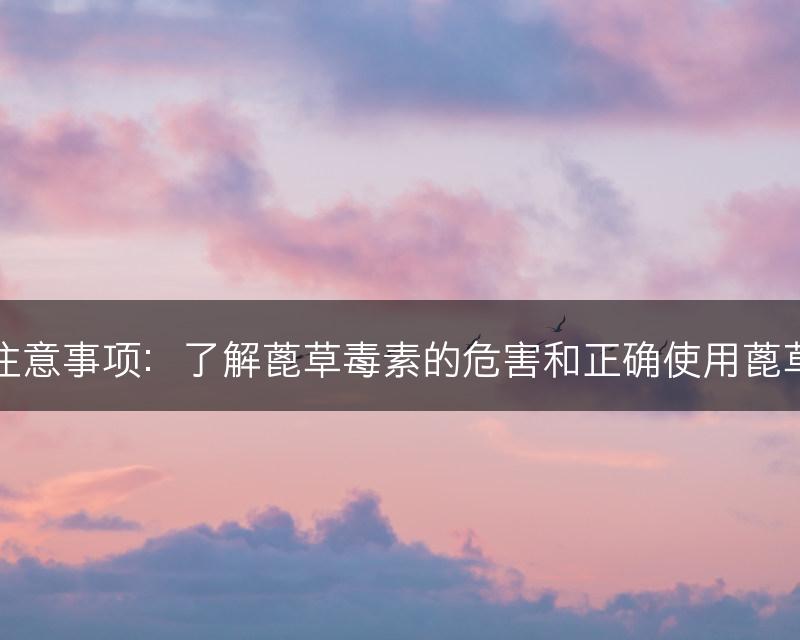 蓖草毒素和安全注意事项：了解蓖草毒素的危害和正确使用蓖草产品的注意事项(图1)