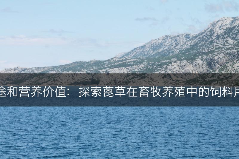 蓖草的饲料用途和营养价值：探索蓖草在畜牧养殖中的饲料用途和营养成分(图1)
