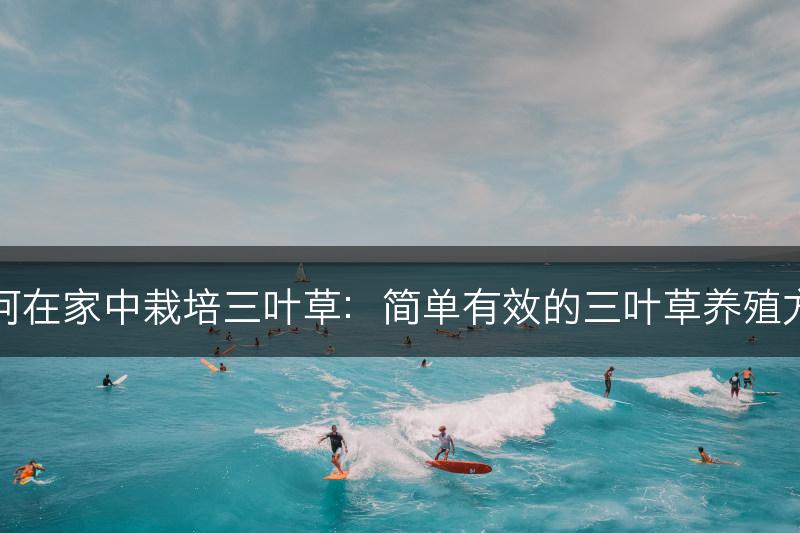 如何在家中栽培三叶草：简单有效的三叶草养殖方法(图1)